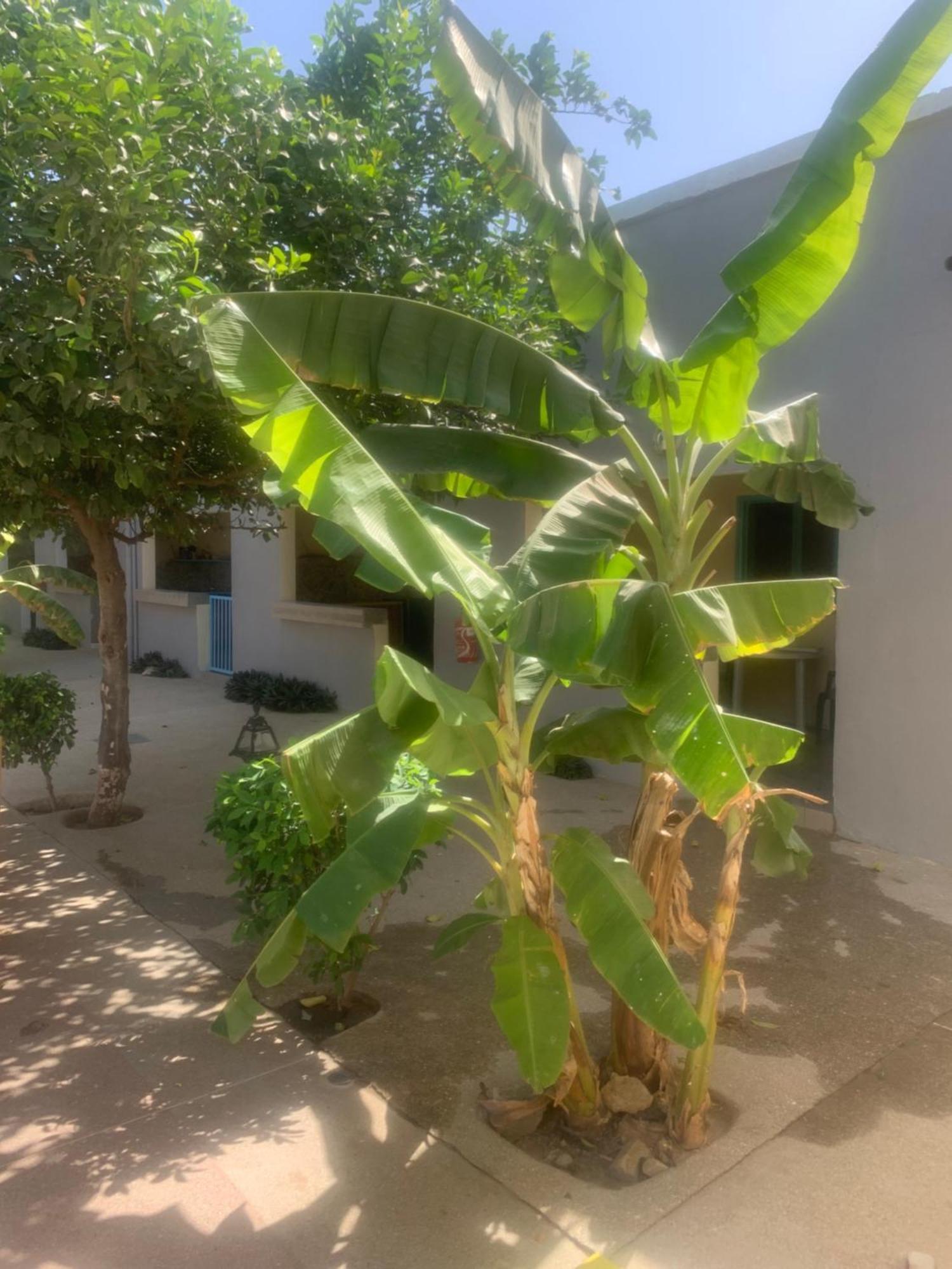 Auberge Keur Ely Ouoran Exteriör bild